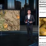 Nie dość, że nielegalni to jeszcze kradną materiały Republiki