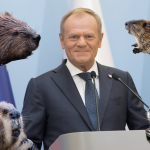 HIT! „Będzie dobrze, panie bobrze” – wypalił… Tusk
