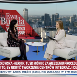 Zajączkowska-Hernik: Polacy będą utrzymywać nielegalnych migrantów