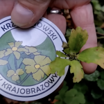 Za siódmą górą – Fantazyjne lessy Lubelszczyzny [wideo]