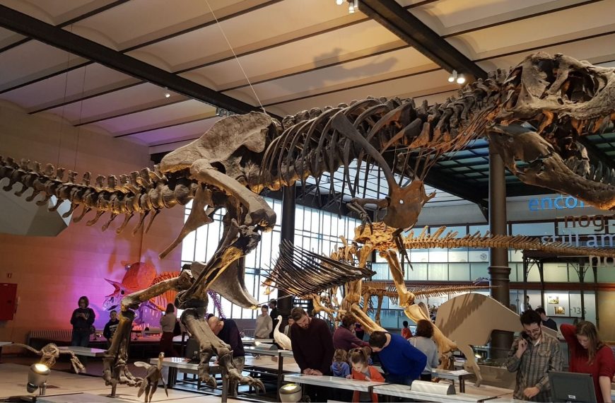 Sprzedano szkielet dinozaura za 4,7 mln euro!