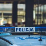 Wypadek na S1 po wtargnięciu dzików na jezdnię!