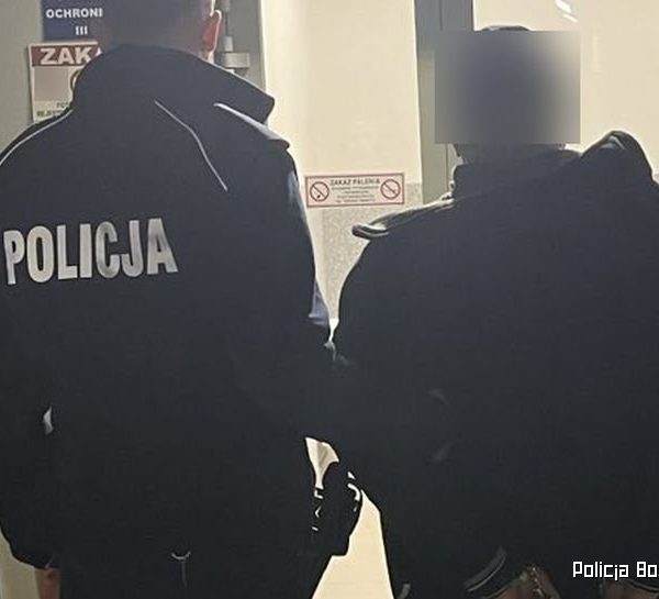 Śmiertelnie postrzelił kota. Grozi&hellip;