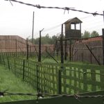 Dwa lata łagru za … zdeptanie kwiatów. Takie rzeczy tylko w Rosji