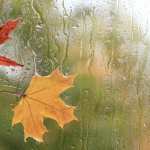 Uwaga, dziś nawet deszcz ze śniegiem! [PROGNOZA]
