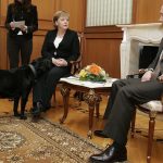 Putin przeprosił Merkel za zdarzenie sprzed… 17 lat. „Nie wiedziałem, że boi się psów”, zapewnił