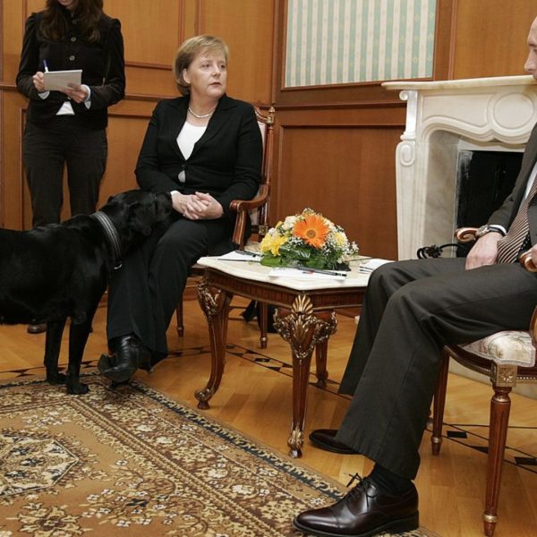 Putin przeprosił Merkel za zdarzenie sprzed… 17 lat. „Nie wiedziałem, że boi się psów”, zapewnił