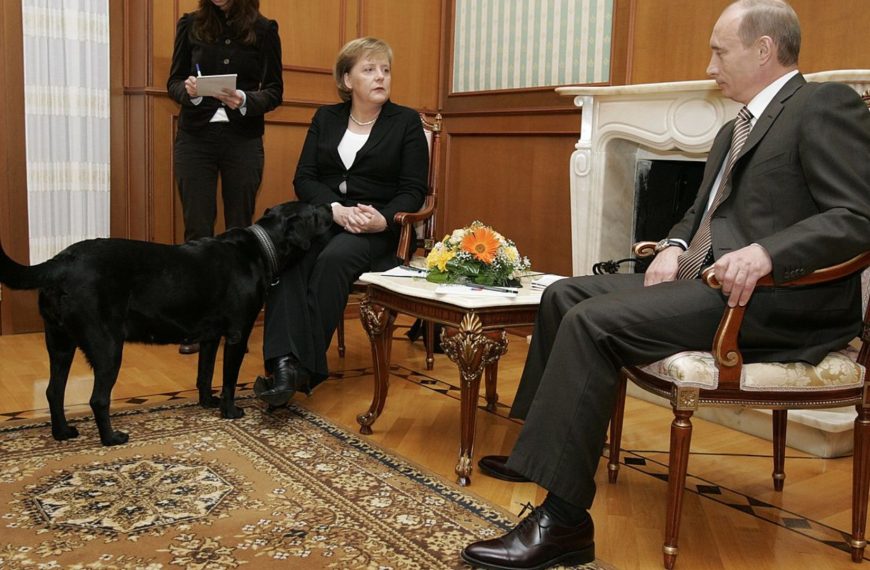 Putin przeprosił Merkel za zdarzenie sprzed… 17 lat. „Nie wiedziałem, że boi się psów”, zapewnił
