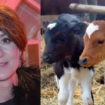 Odlot Ostaszewskiej! Jedząc żólty ser masz poczucie winy wobec cielaczka
