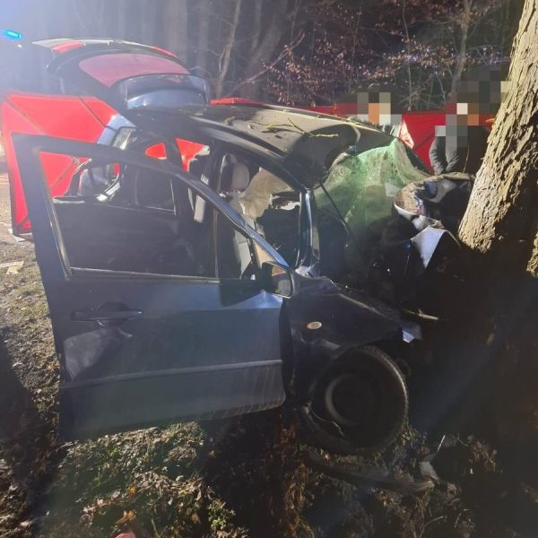 Tragiczny wypadek na drodze. Kierowca bez szans na przeżycie