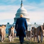 Trump nie będzie się wahał. Wraca z „lwami”